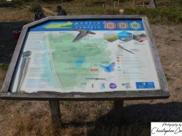 Kenfig Nature Reserve, Wales - 14th August 2022